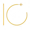 Polished Hoop in 14K Yellow Gold