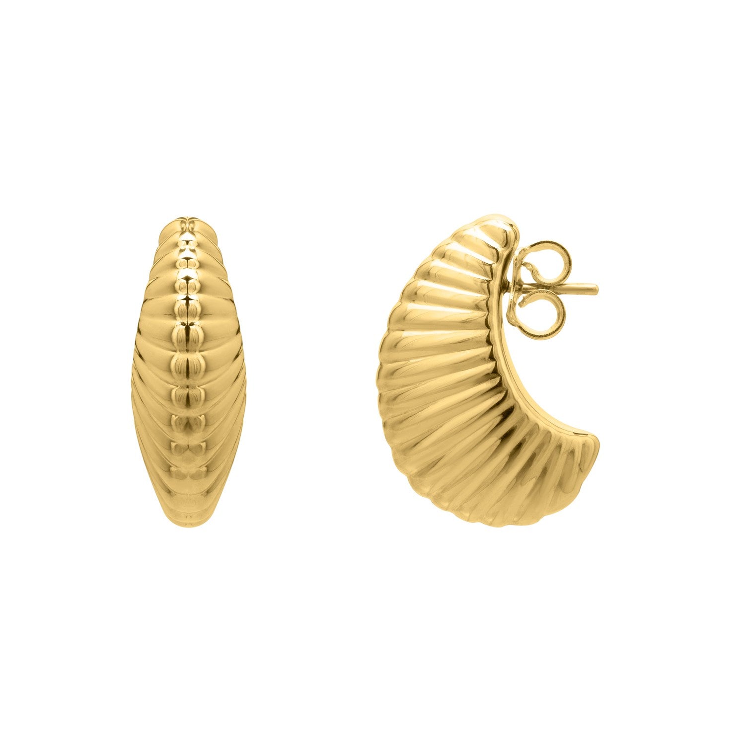 Puffy Graduated Ribbed Shell Hoop in 14K Yellow Gold