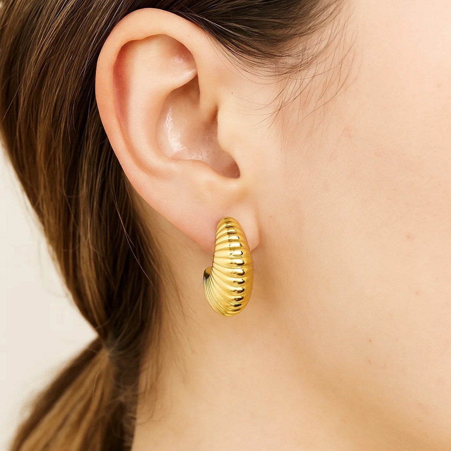 Puffy Graduated Ribbed Shell Hoop in 14K Yellow Gold