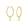 Pearl Drop Oval in 14K Yellow Gold