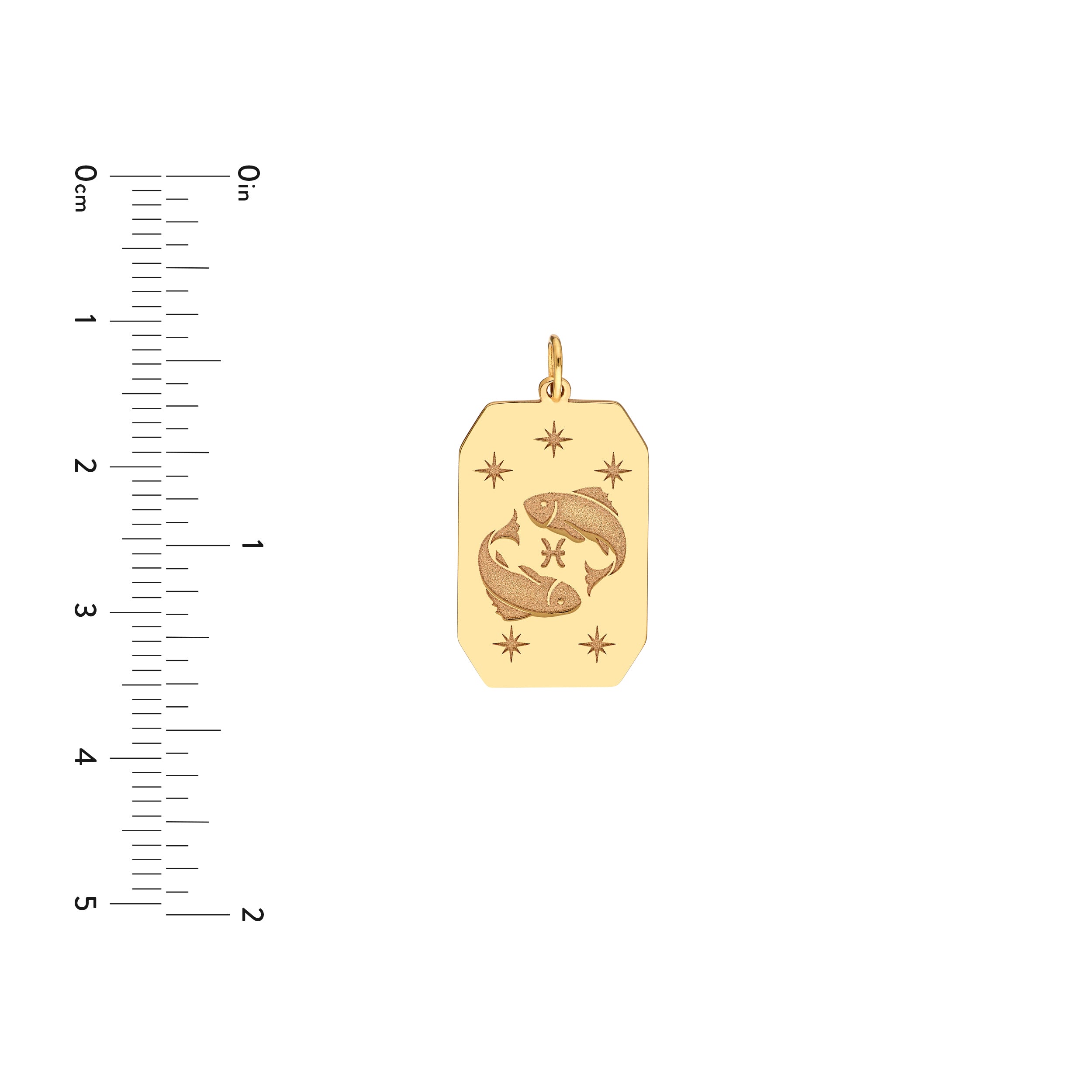 Pisces Engraved Pendant — ALT3