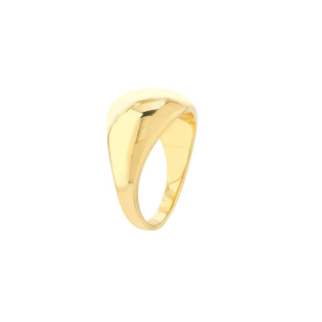 Graduated Narrow Dome Signet Ring — ALT1
