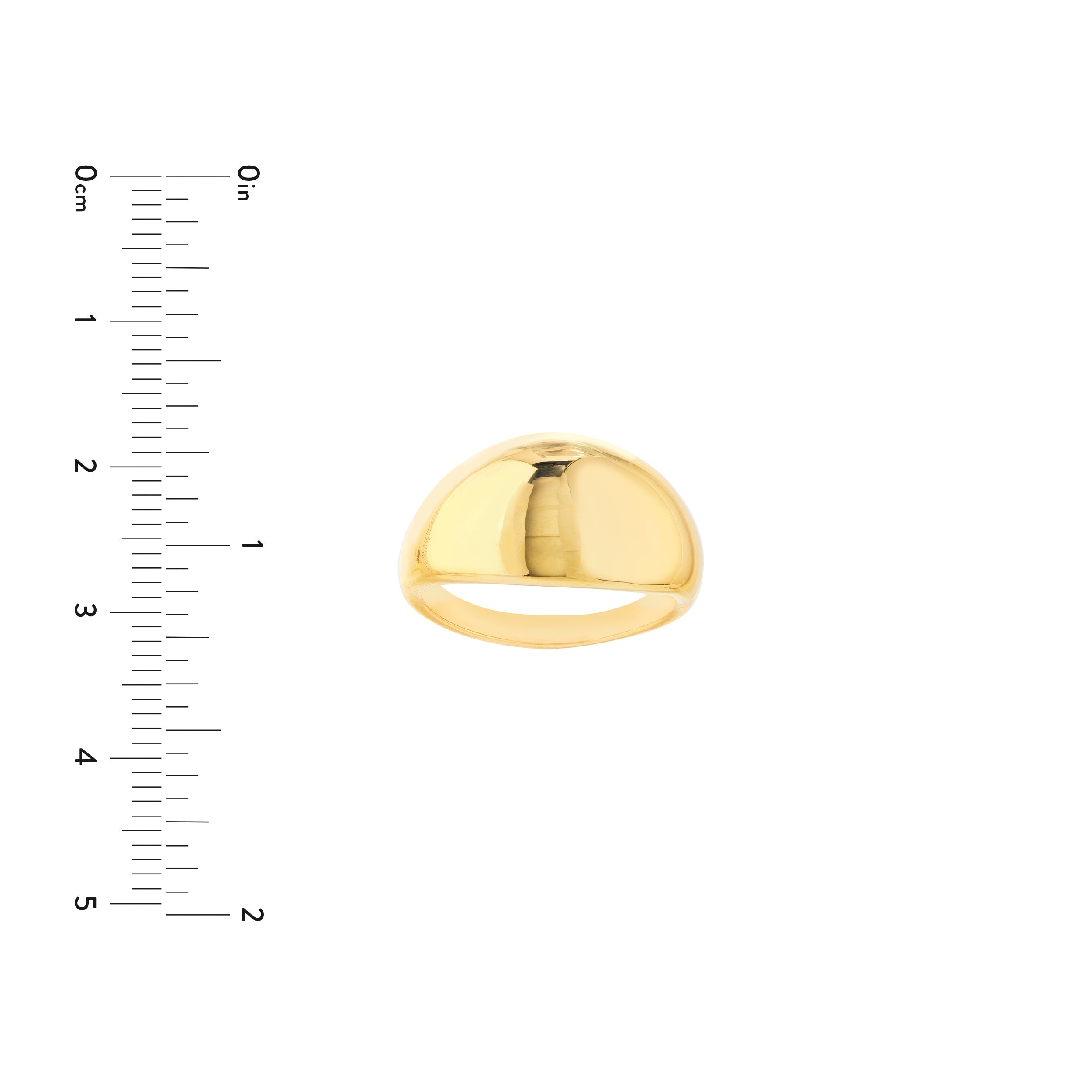 Graduated Narrow Dome Signet Ring — ALT3