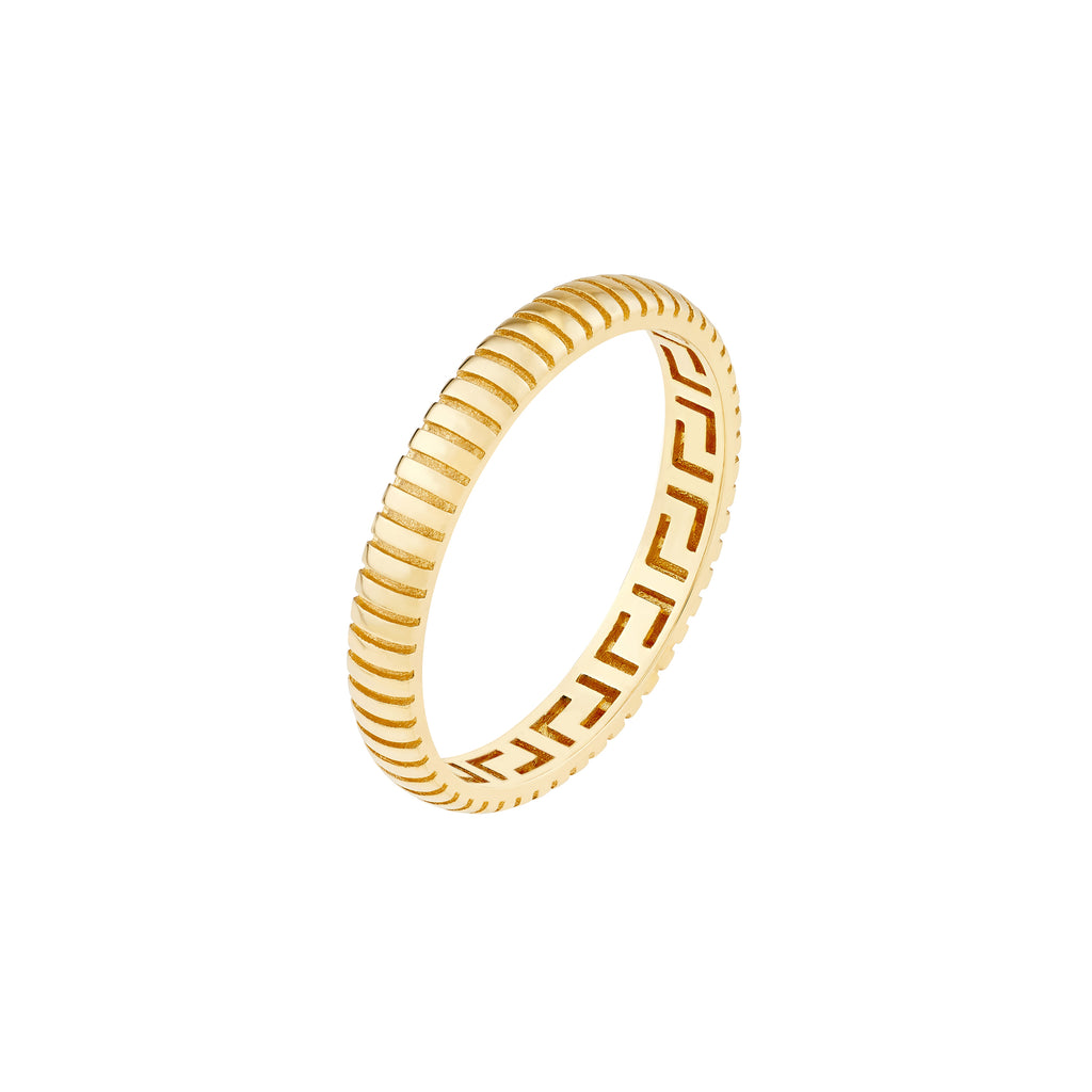 Snake DC Pattern Band — ALT1