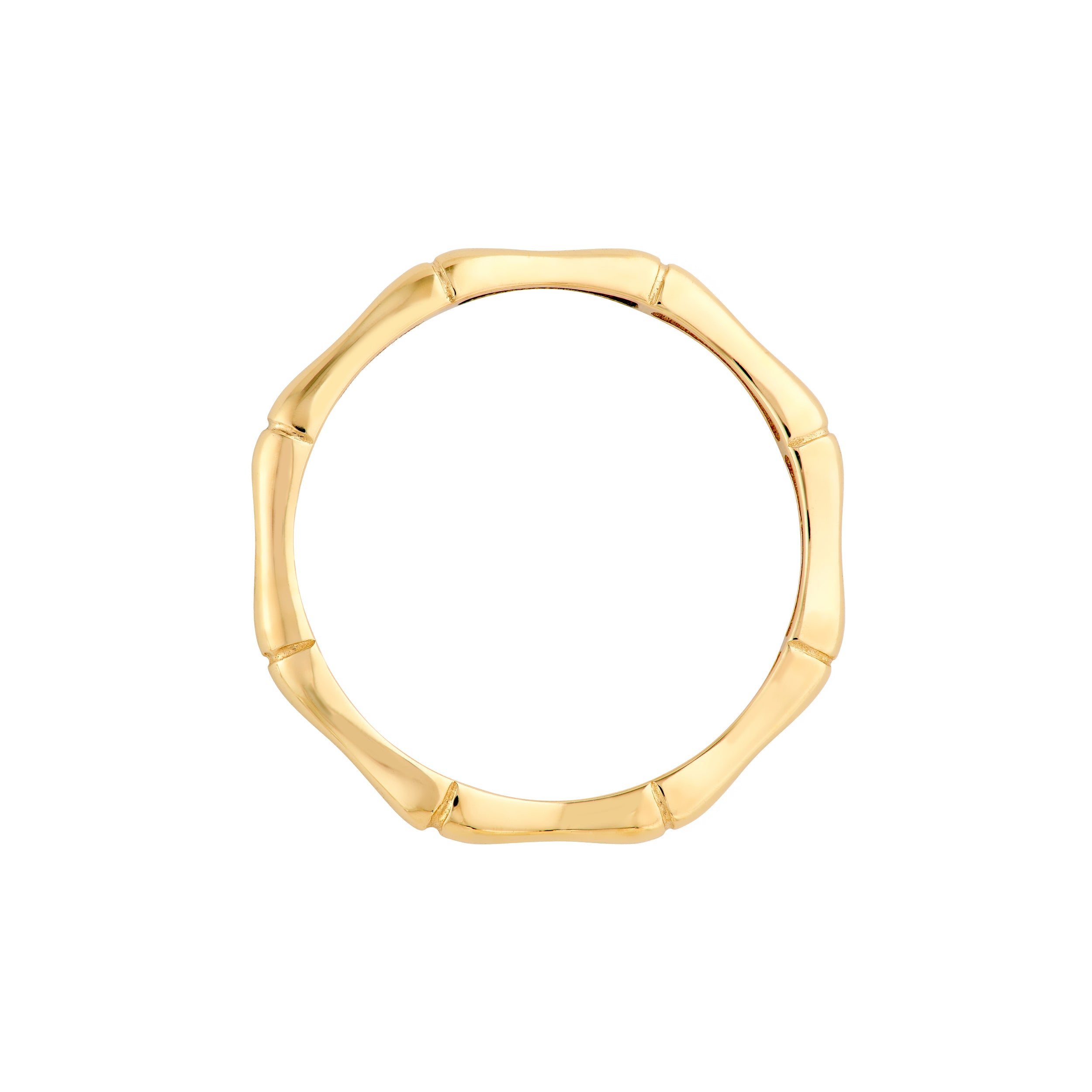 Dainty Bamboo Band — ALT2